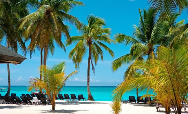 Excursión de un día a la Isla Saona desde Boca Chica