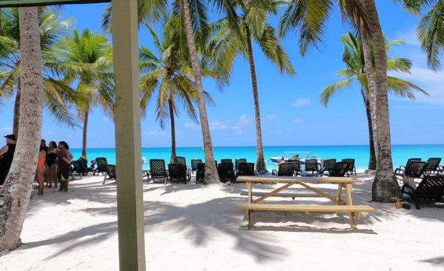 Excursión de un día a la Isla Saona desde Uvero Alto