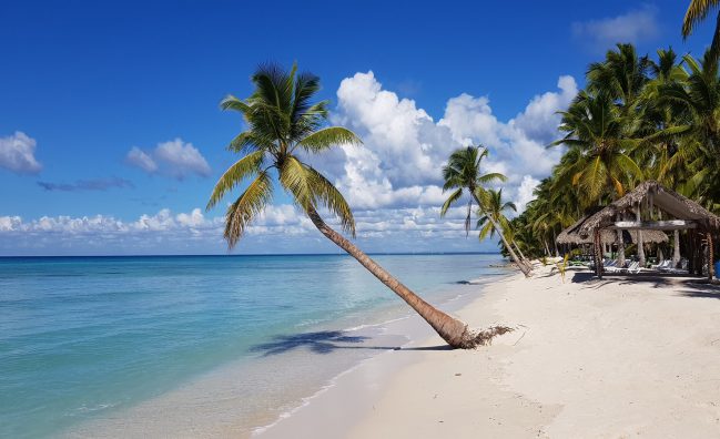 Excursión de un día a la Isla Saona desde Bayahíbe