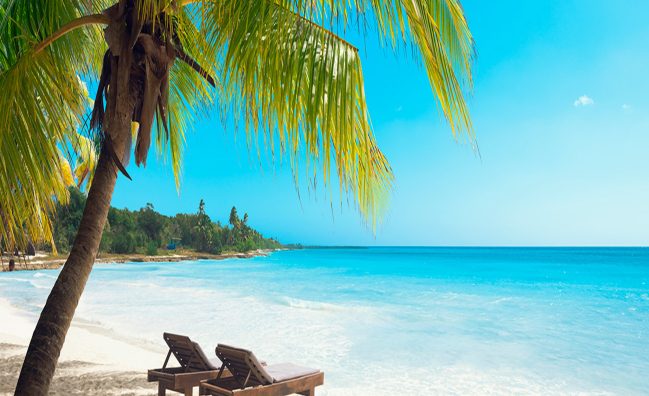 Excursión de un día a la Isla Saona desde Punta Cana