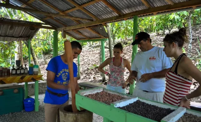 Tour Cultural de Medio Día en Higüey desde Cap Cana