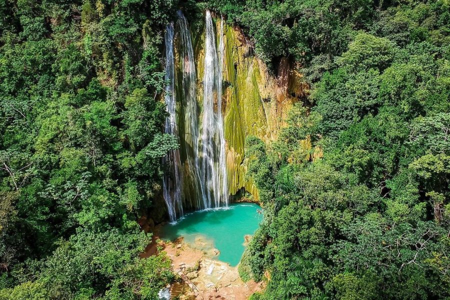 Live the Adventure: Samana Bay and El Limon in a Single Day from Uvero Alto